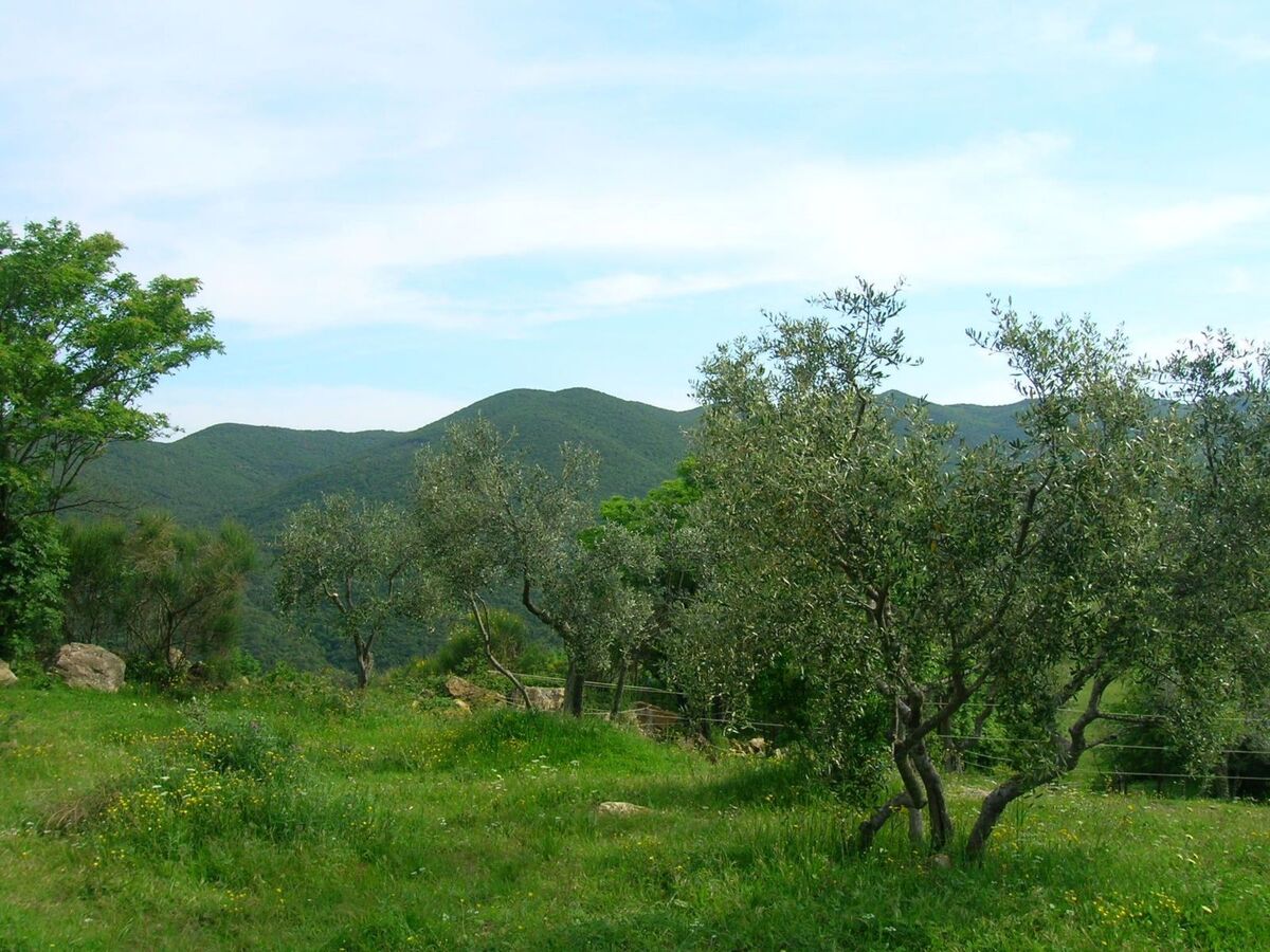 Studio Ligoracce, vue mer en ferme toscane - Photo 20