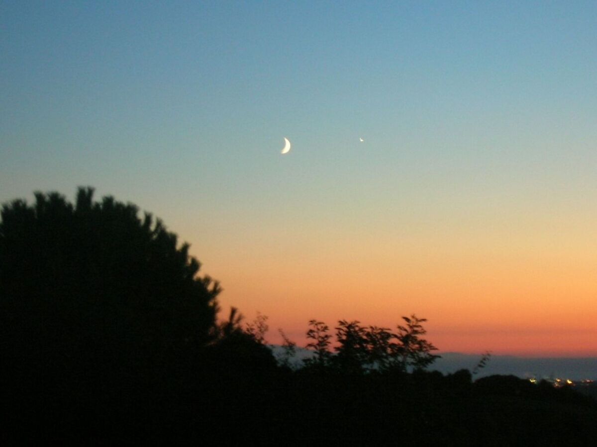 Studio Ligoracce, vue mer en ferme toscane - Photo 27