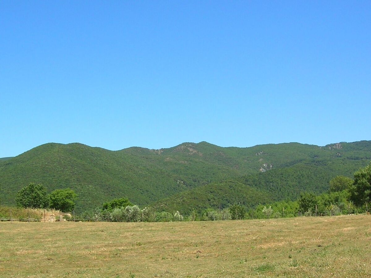 Grecale, appartement 2 chambres en ferme toscane - Photo 18