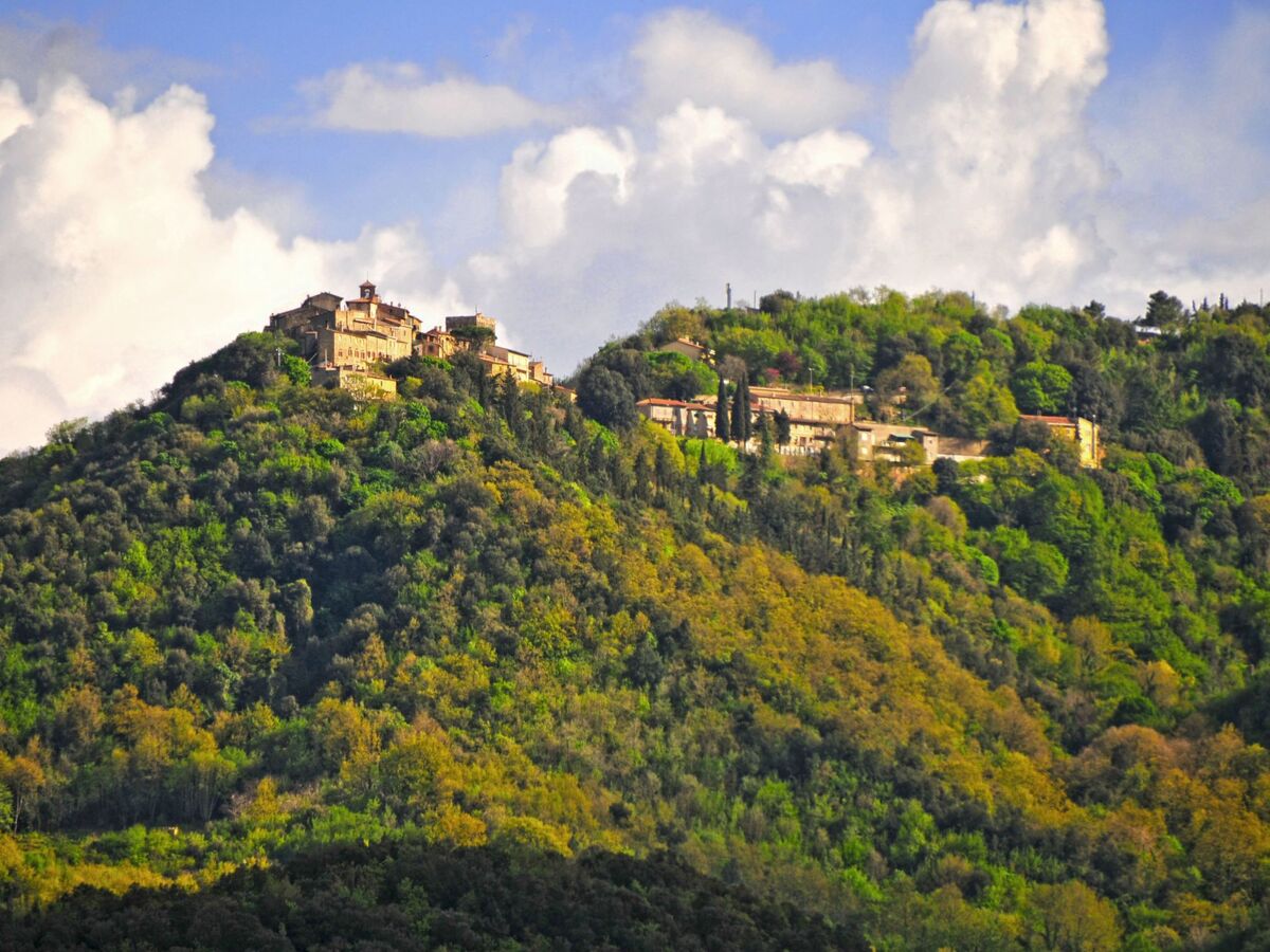 La Casina della Sassa, duplex 1 chambre en Toscane - Photo 8