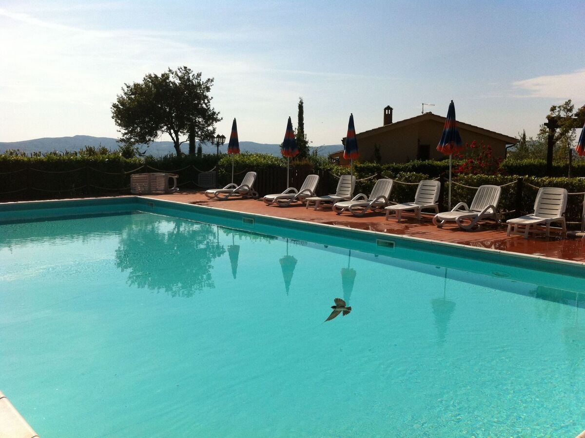 Appartement 5 pers. Castellina Marittima, vue Toscane - Photo 2