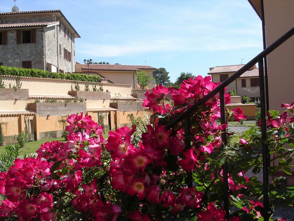 Appartement Pieve Pomaia 36 avec piscine à Castellina Marittima - Photo 14
