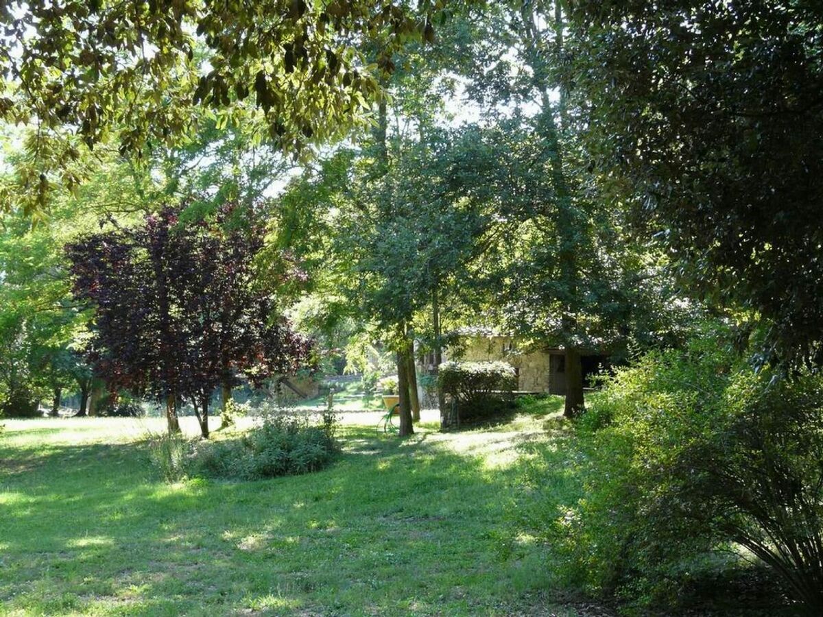 Molino Trilo 5, appartement 5 pers. à Castellina Marittima - Photo 24