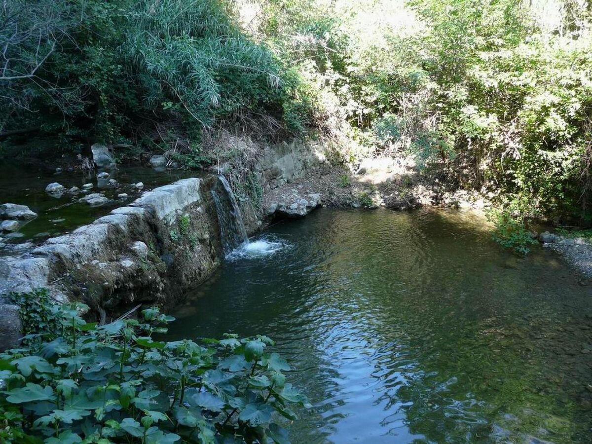 Molino Trilo 5, appartement 5 pers. à Castellina Marittima - Photo 25