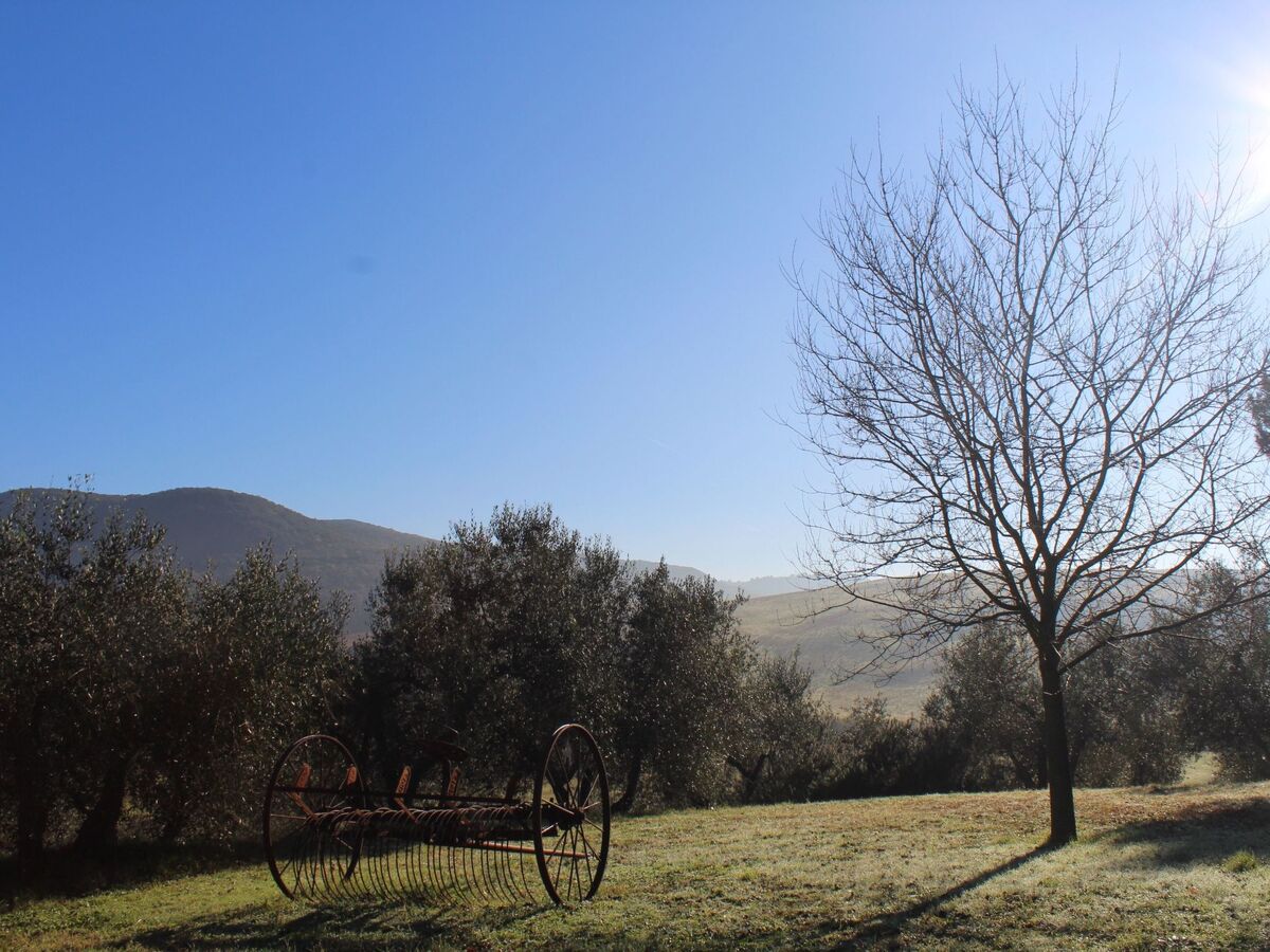 Appartement avec piscine privée à Castellina Marittima - Photo 17