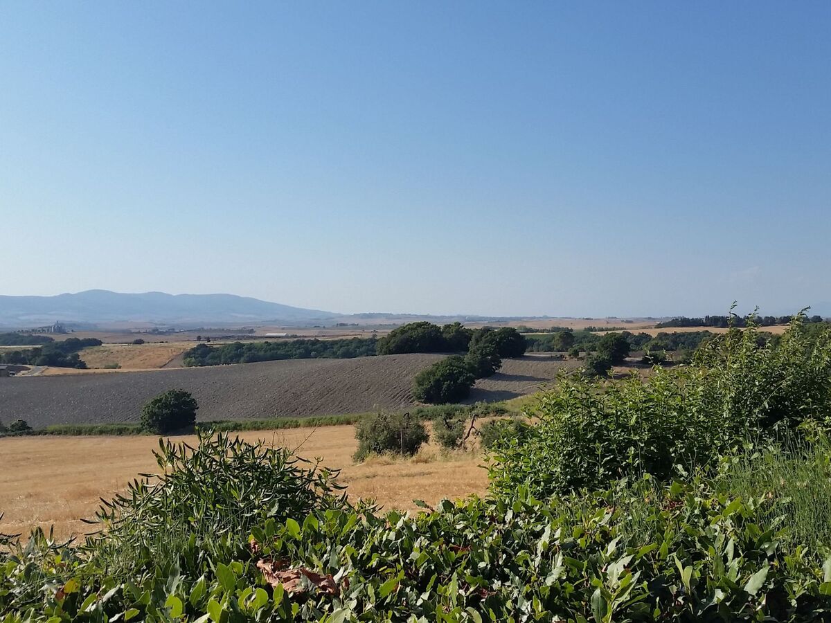 Studio 32m² Castellina Marittima, terrasse et piscine - Photo 6