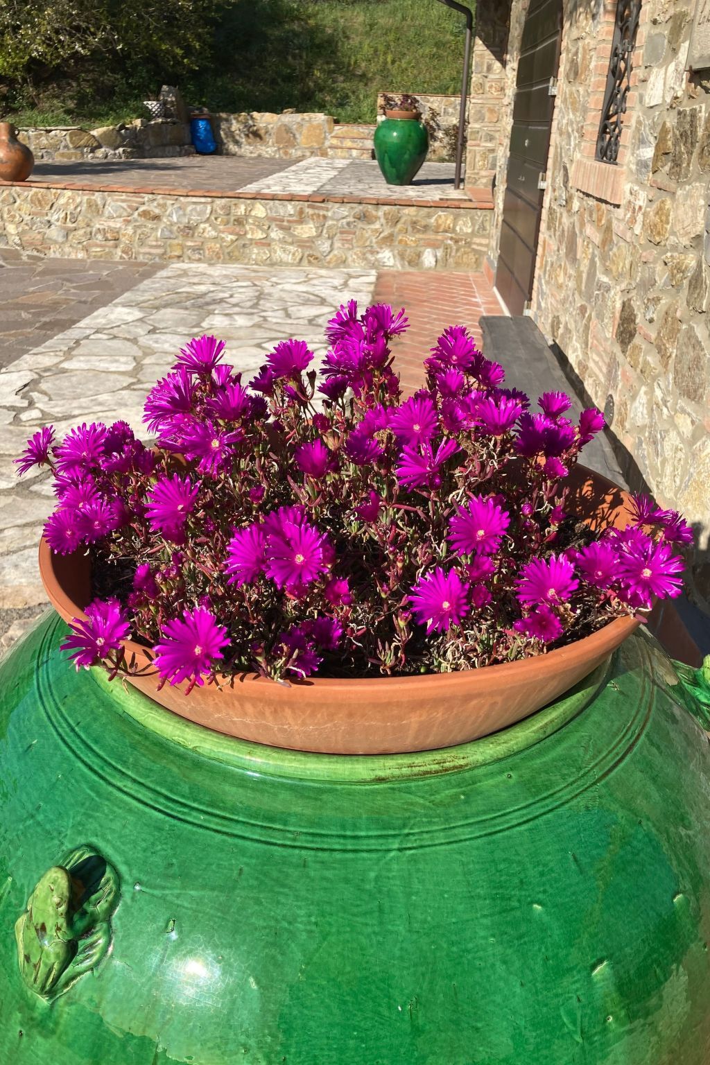 Podere Lo Zolfo, appartement vue mer en Toscane - Photo 21