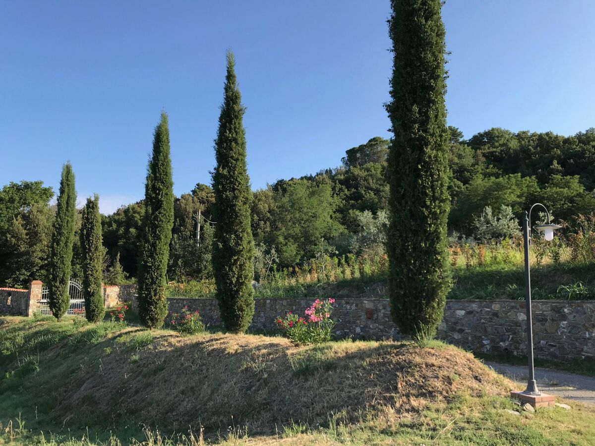 Podere Lo Zolfo, appartement vue mer en Toscane - Photo 24
