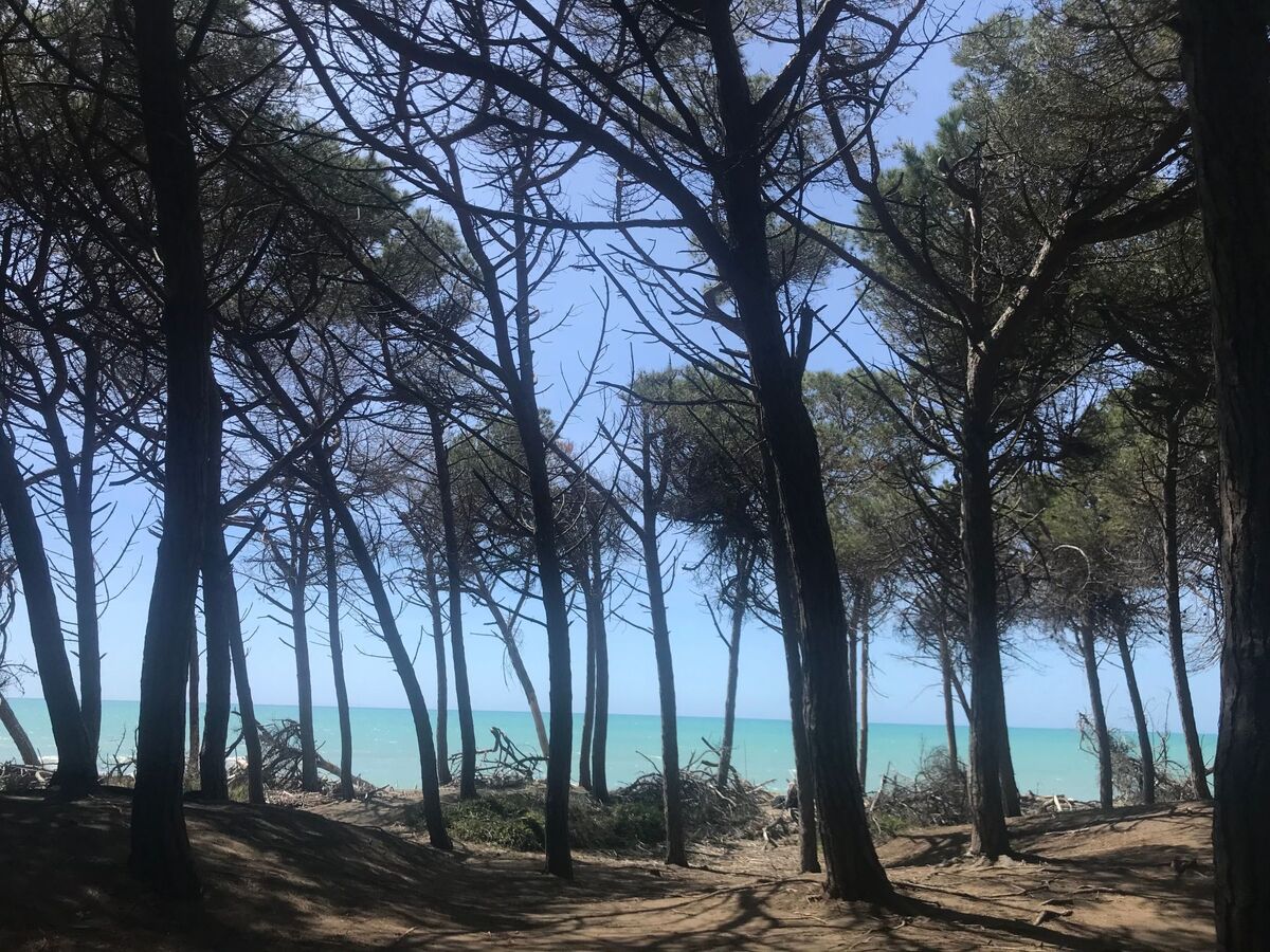 Podere Lo Zolfo, appartement vue mer en Toscane - Photo 27