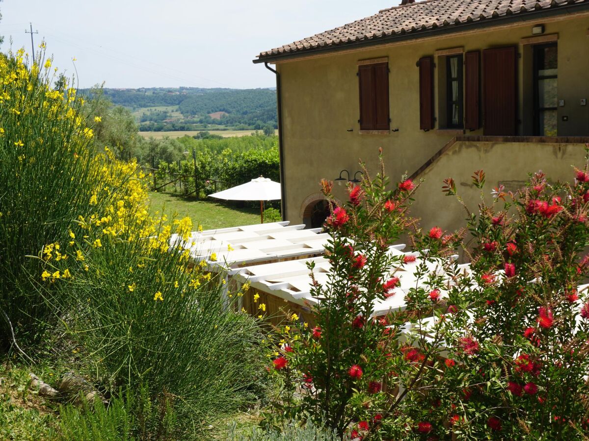 Appartement agritourisme à Riparbella, piscine eau salée - Photo 11