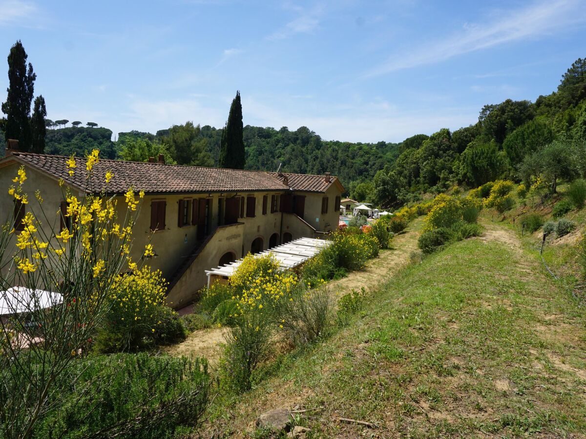 Appartement agritourisme à Riparbella, piscine eau salée - Photo 15