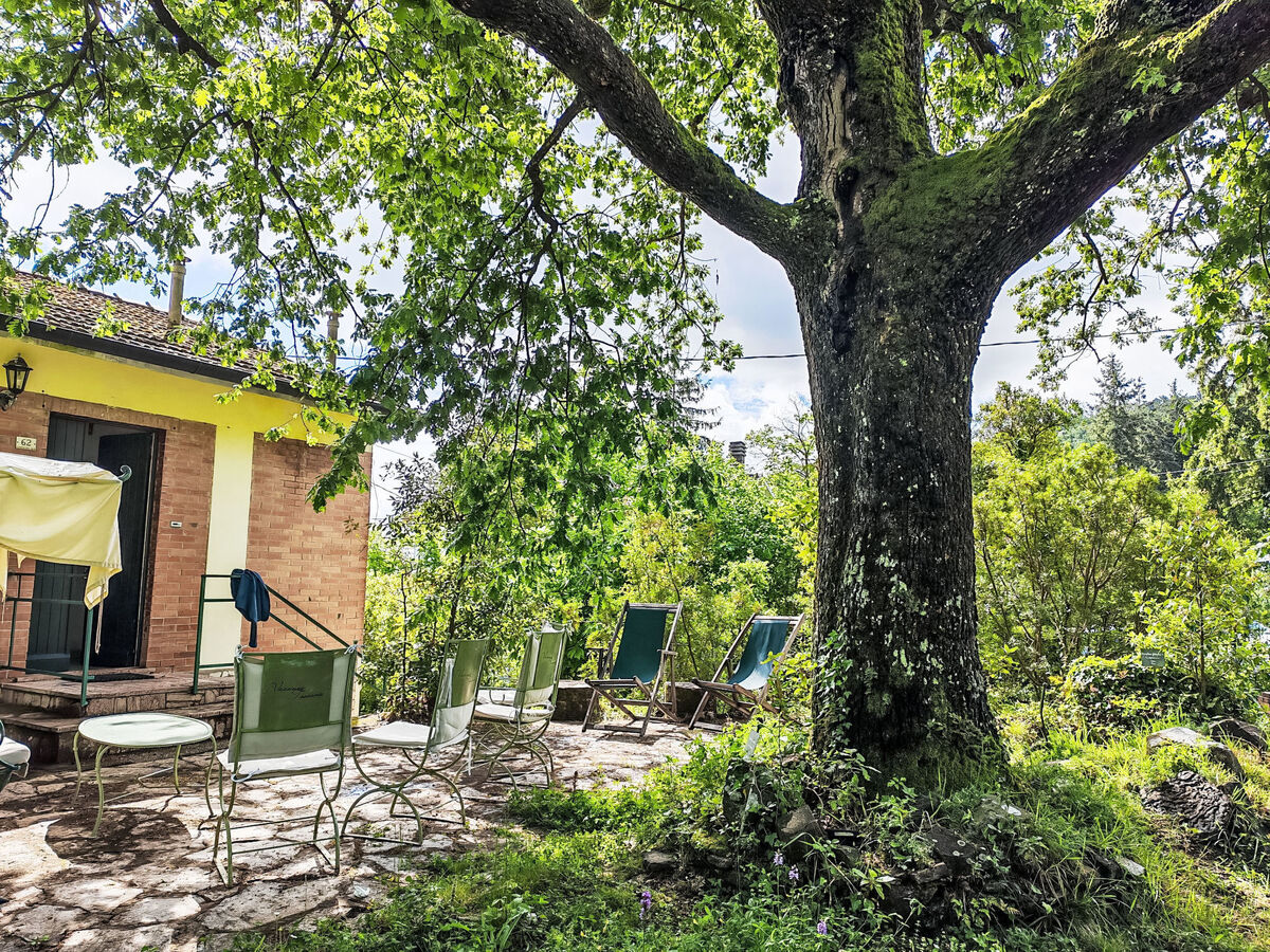 Appartement 7 pers. avec piscine à Bibbona - Photo 8