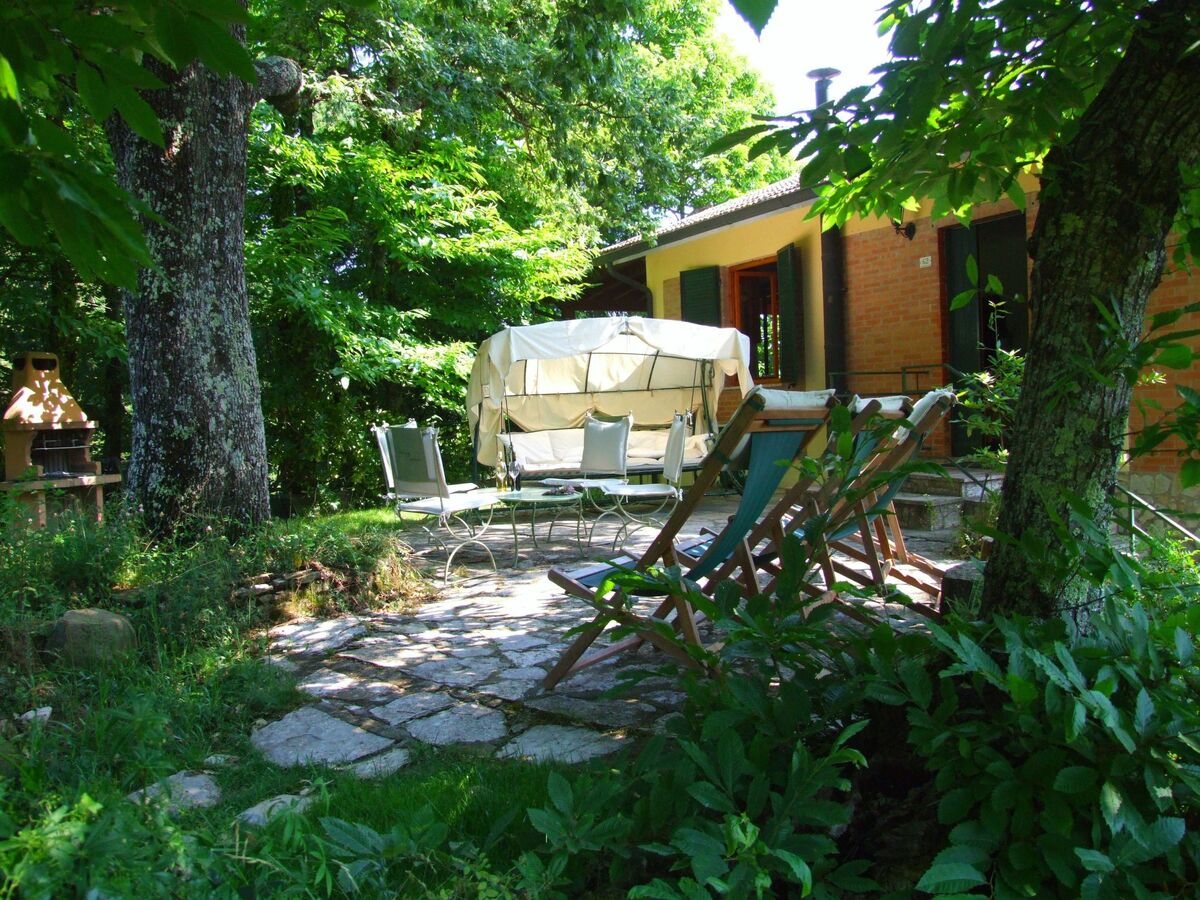 Appartement 7 pers. avec piscine à Bibbona - Photo 10