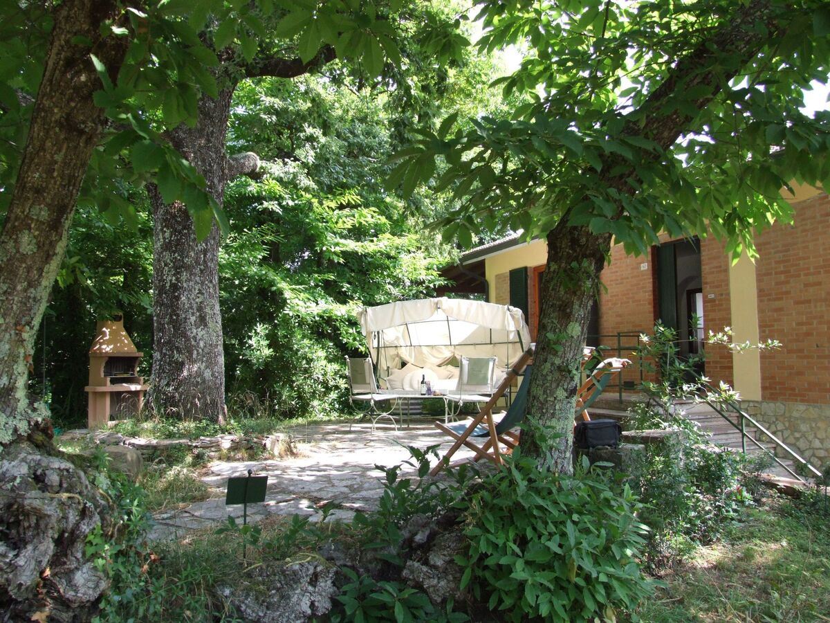 Appartement 7 pers. avec piscine à Bibbona - Photo 24