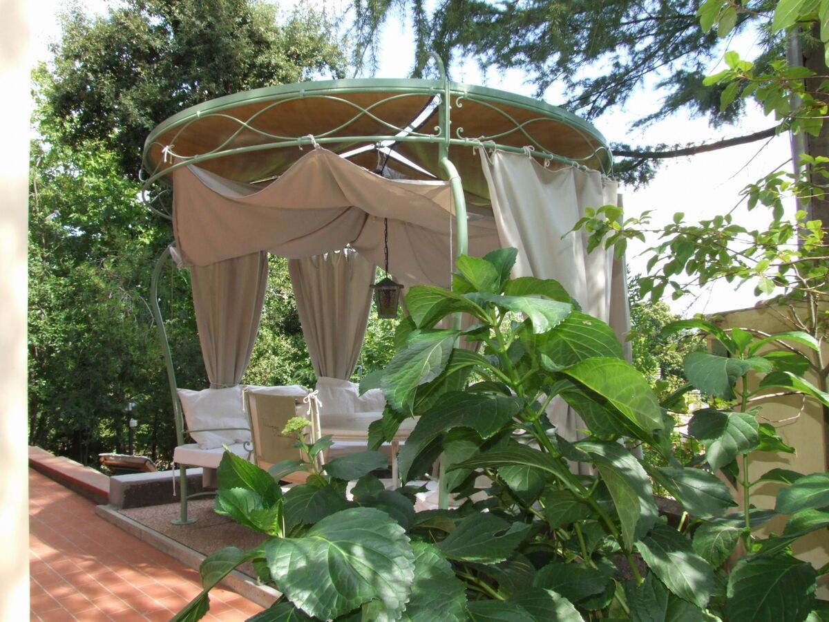 Gardenia Eiche – Appartement 10 pers. avec piscine à Bibbona - Photo 3