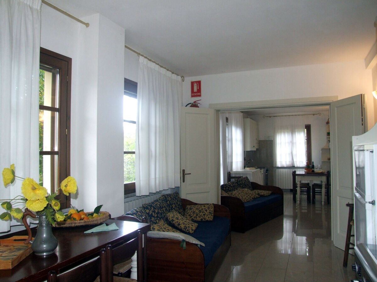 Gardenia Eiche – Appartement 10 pers. avec piscine à Bibbona - Photo 8