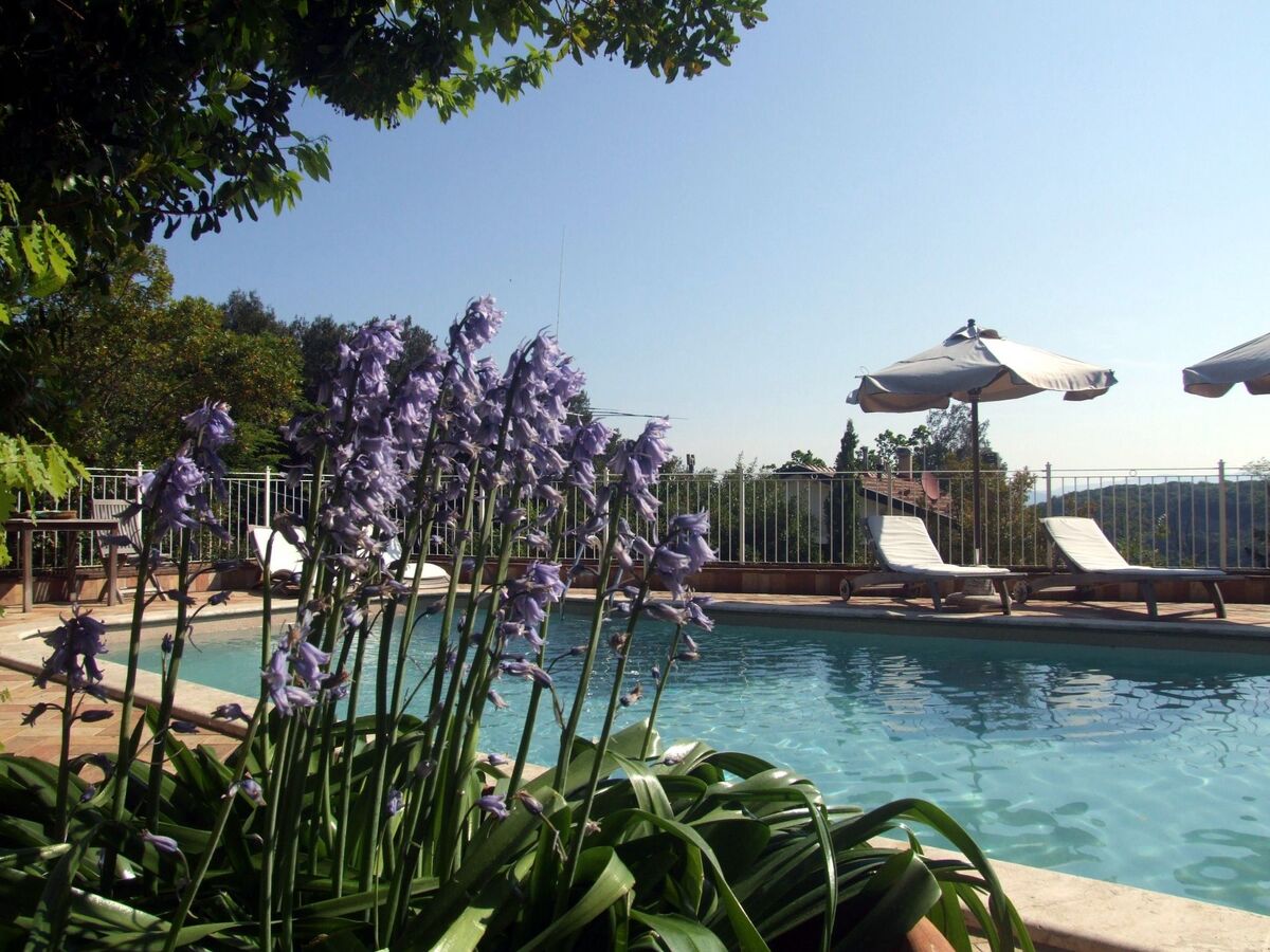 Gardenia Eiche – Appartement 10 pers. avec piscine à Bibbona - Photo 13