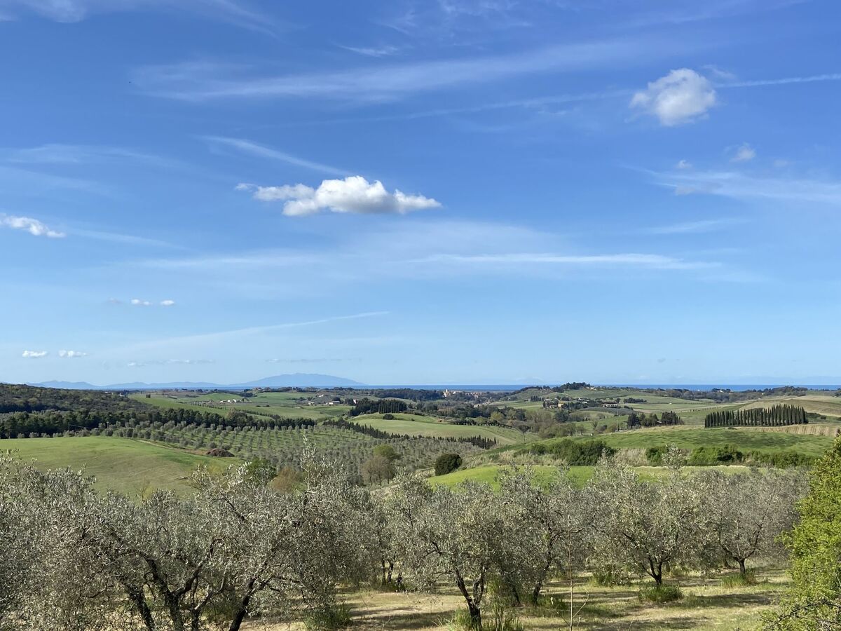 Gardenia Eiche – Appartement 10 pers. avec piscine à Bibbona - Photo 33