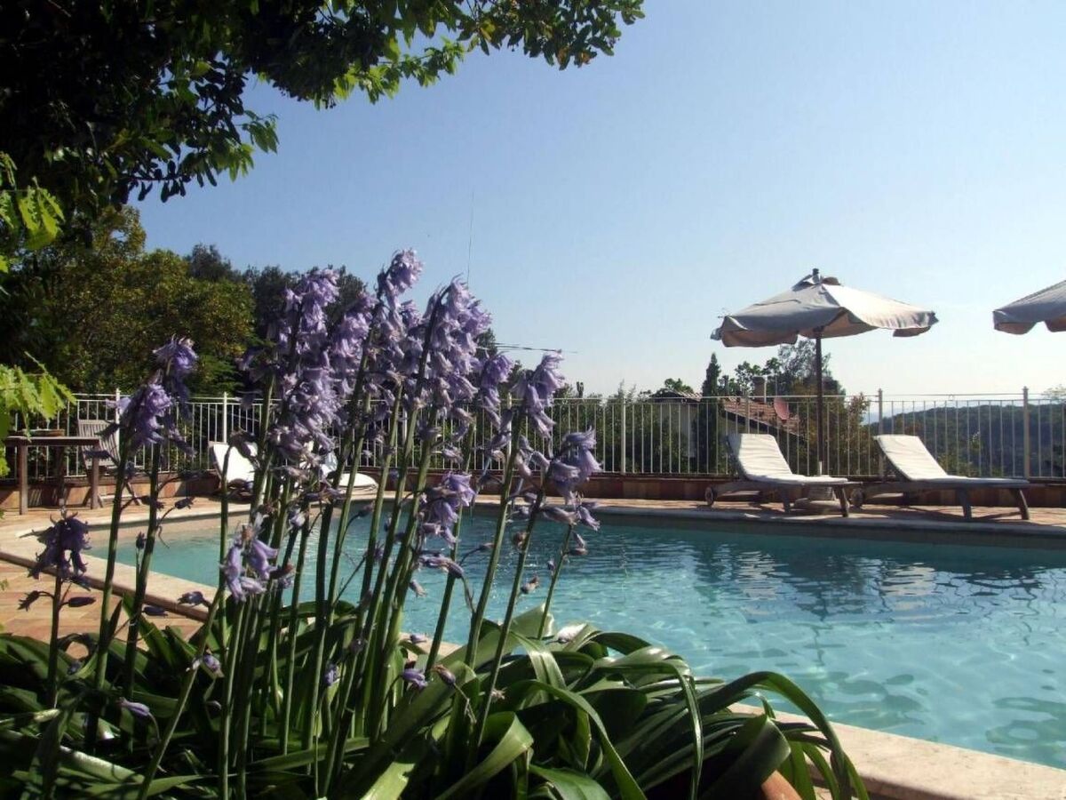 Appartement Fresia avec piscine à Bibbona - Photo 17