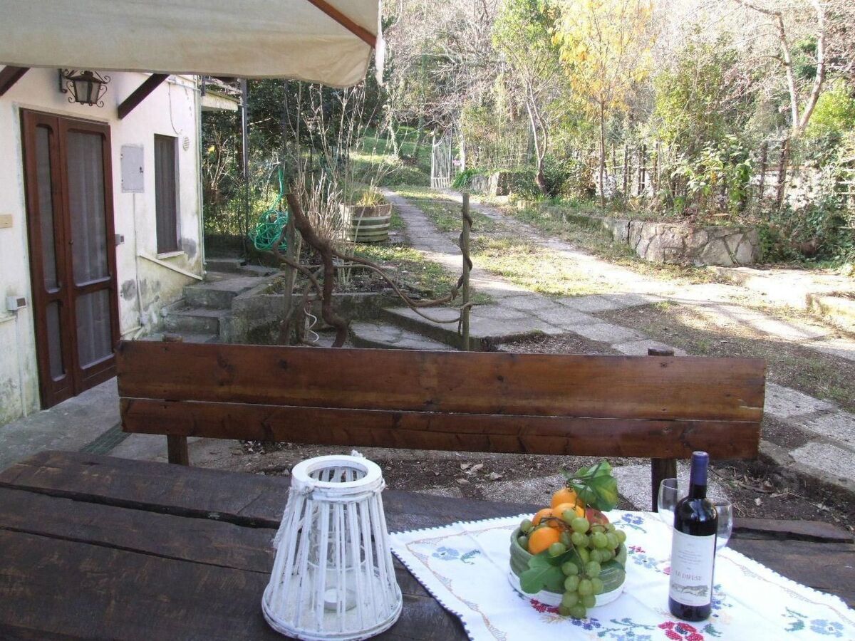 Appartement 6 pers. avec terrasse privée à Bibbona - Photo 26