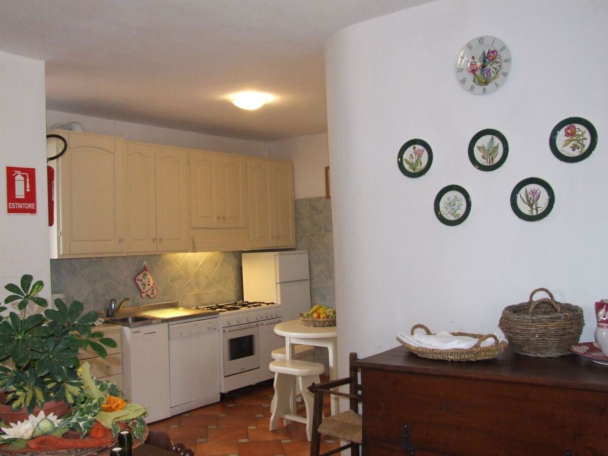 Villa Castagno à Bibbona : 13 personnes, piscine - Photo 10