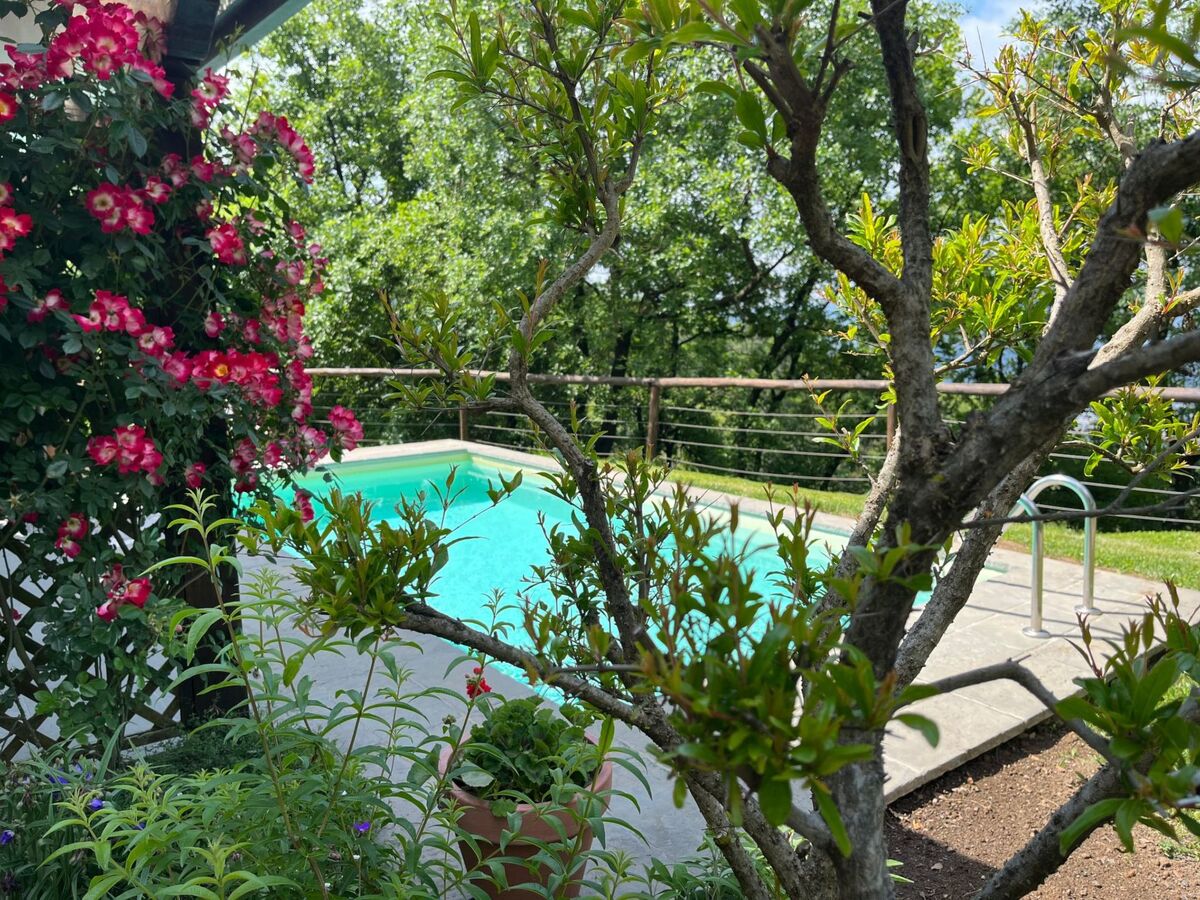 Villa Civico 2 à Uzzano : piscine privée en Toscane - Photo 32