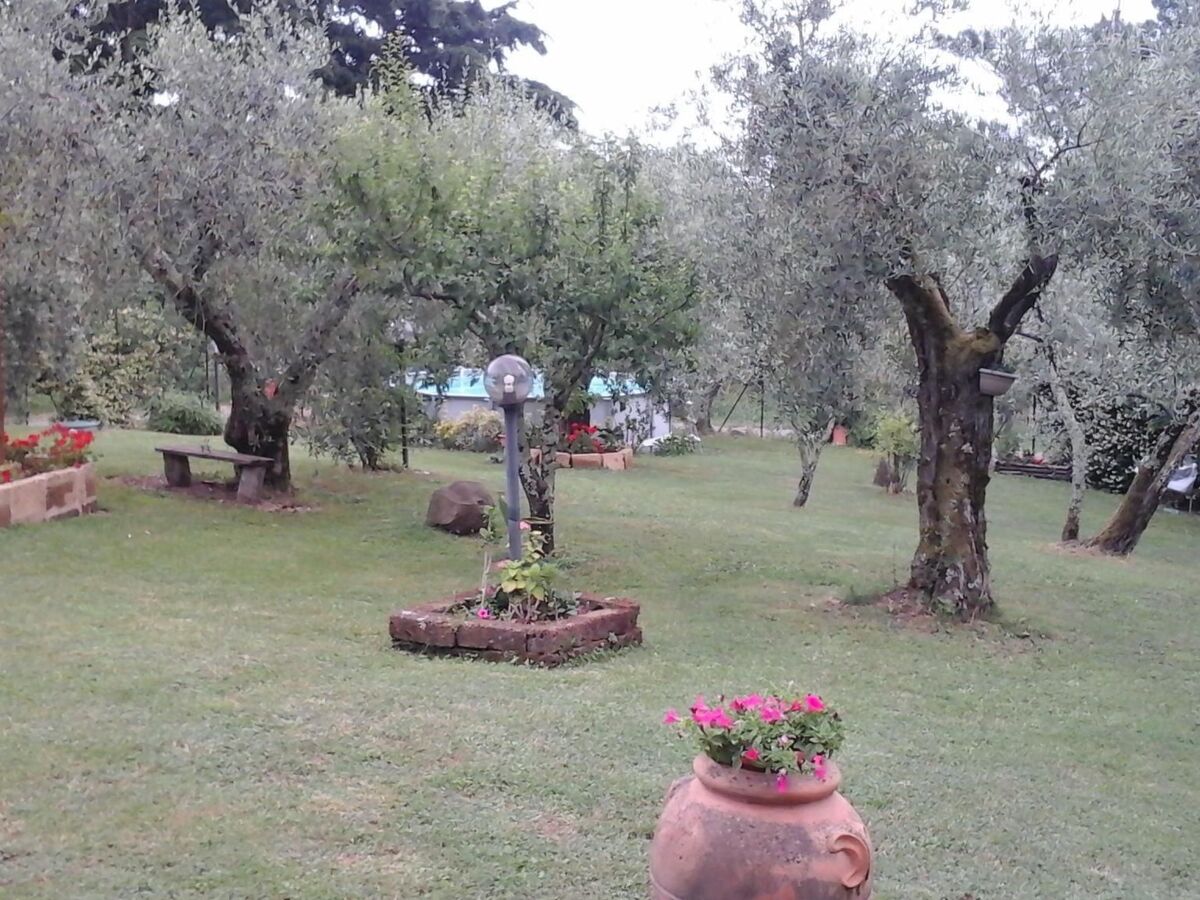 Appartement 4 pers. avec piscine privée en Toscane - Photo 15