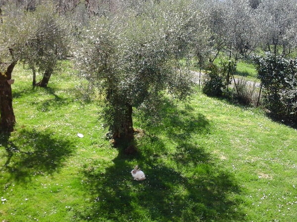 Appartement 4 pers. avec piscine privée en Toscane - Photo 16