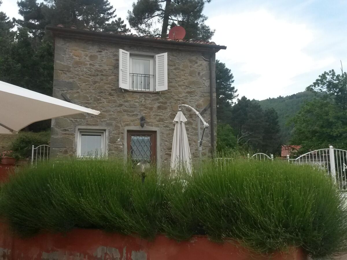 Appartement 4 pers. avec piscine privée en Toscane - Photo 21