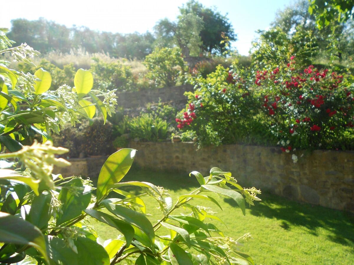 Appartement Il Campano avec jacuzzi privé en Toscane - Photo 30