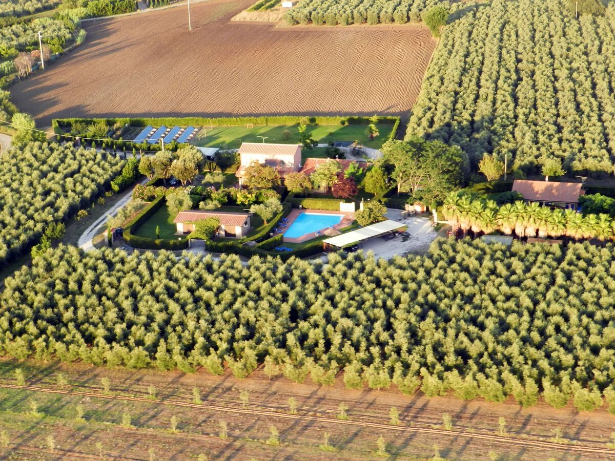 Haus Olivo – Maison avec piscine et jardin à Castagneto Carducci - Photo 24