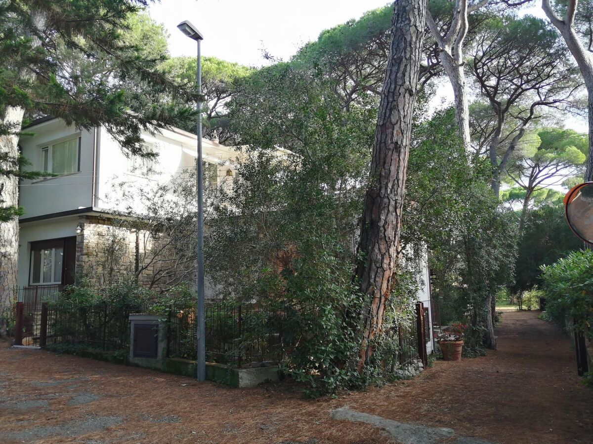 Appartement 60m² avec terrasse privée à Castagneto - Photo 24