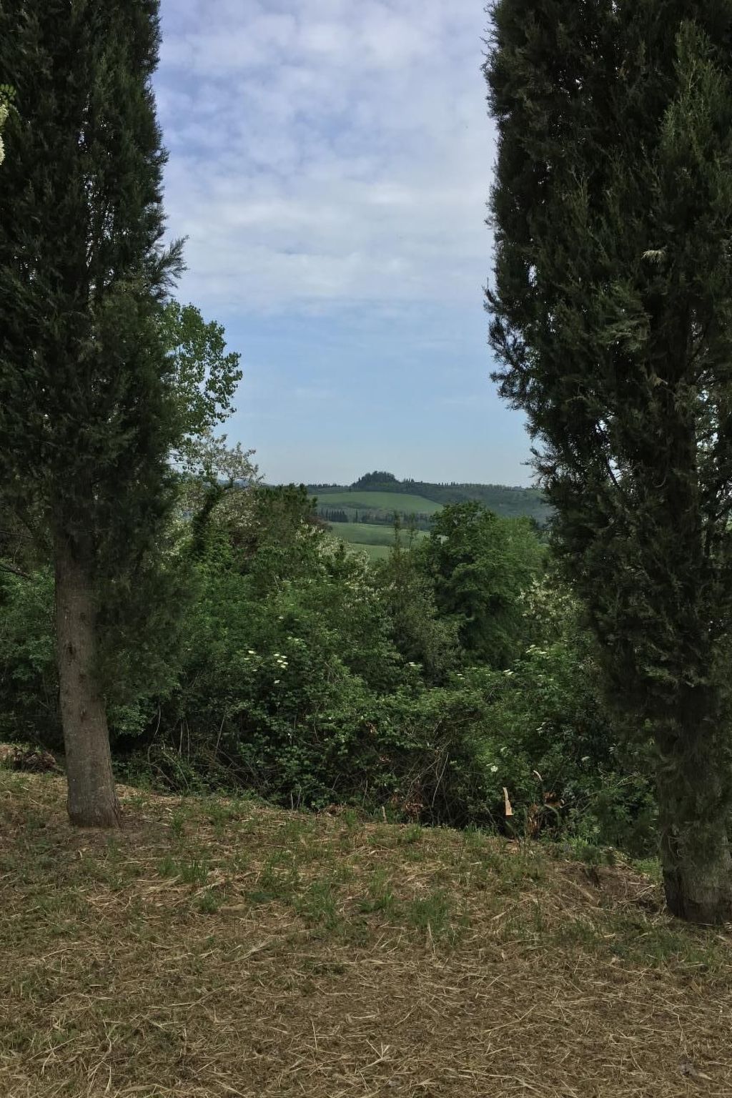 Casa Poggio, appartement 10 pers. avec piscine à Fauglia - Photo 6