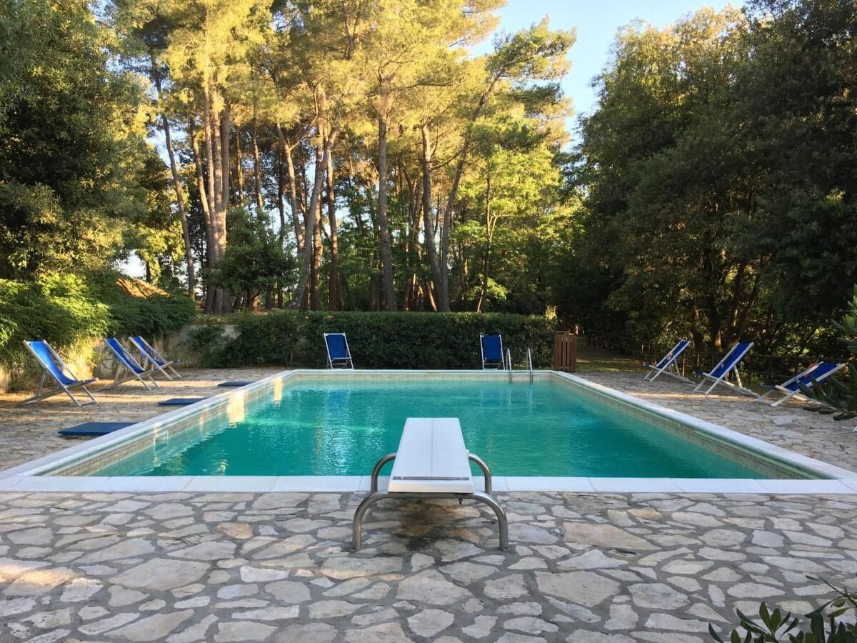 Casa Poggio, appartement 10 pers. avec piscine à Fauglia - Photo 10