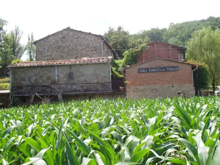 Loft La Tabaccaia à Poppi, jardin privé et grill : photo 11