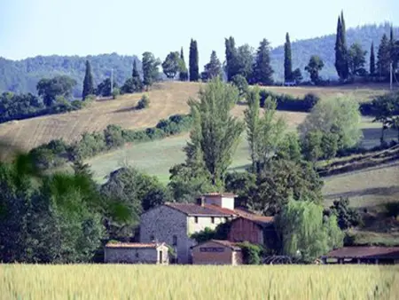 Loft La Tabaccaia à Poppi, jardin privé et grill : photo 20