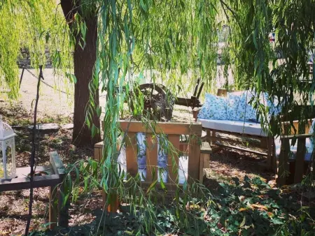 Loft La Tabaccaia à Poppi, jardin privé et grill : photo 31