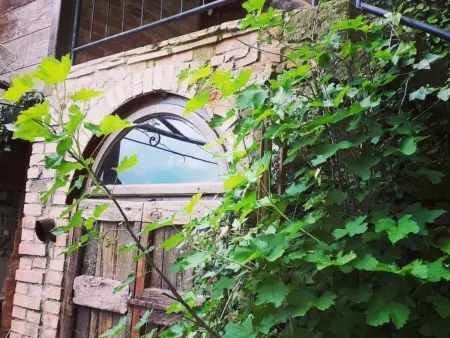 Loft La Tabaccaia à Poppi, jardin privé et grill : photo 41