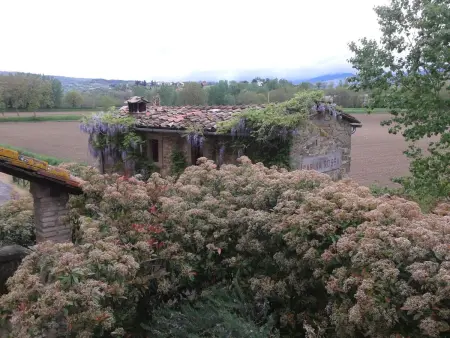 Studio Il Molino à Poppi, vue sur le château : photo 18