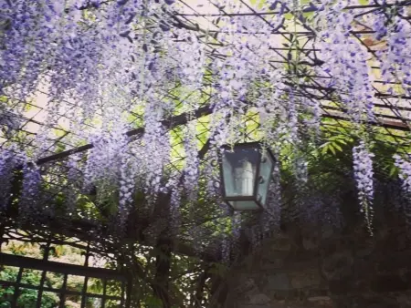 Studio Il Molino à Poppi, vue sur le château : photo 35