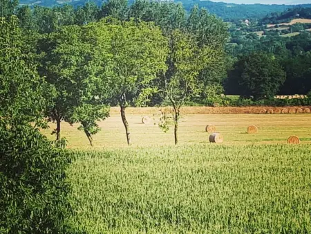 Studio Il Molino à Poppi, vue sur le château : photo 44