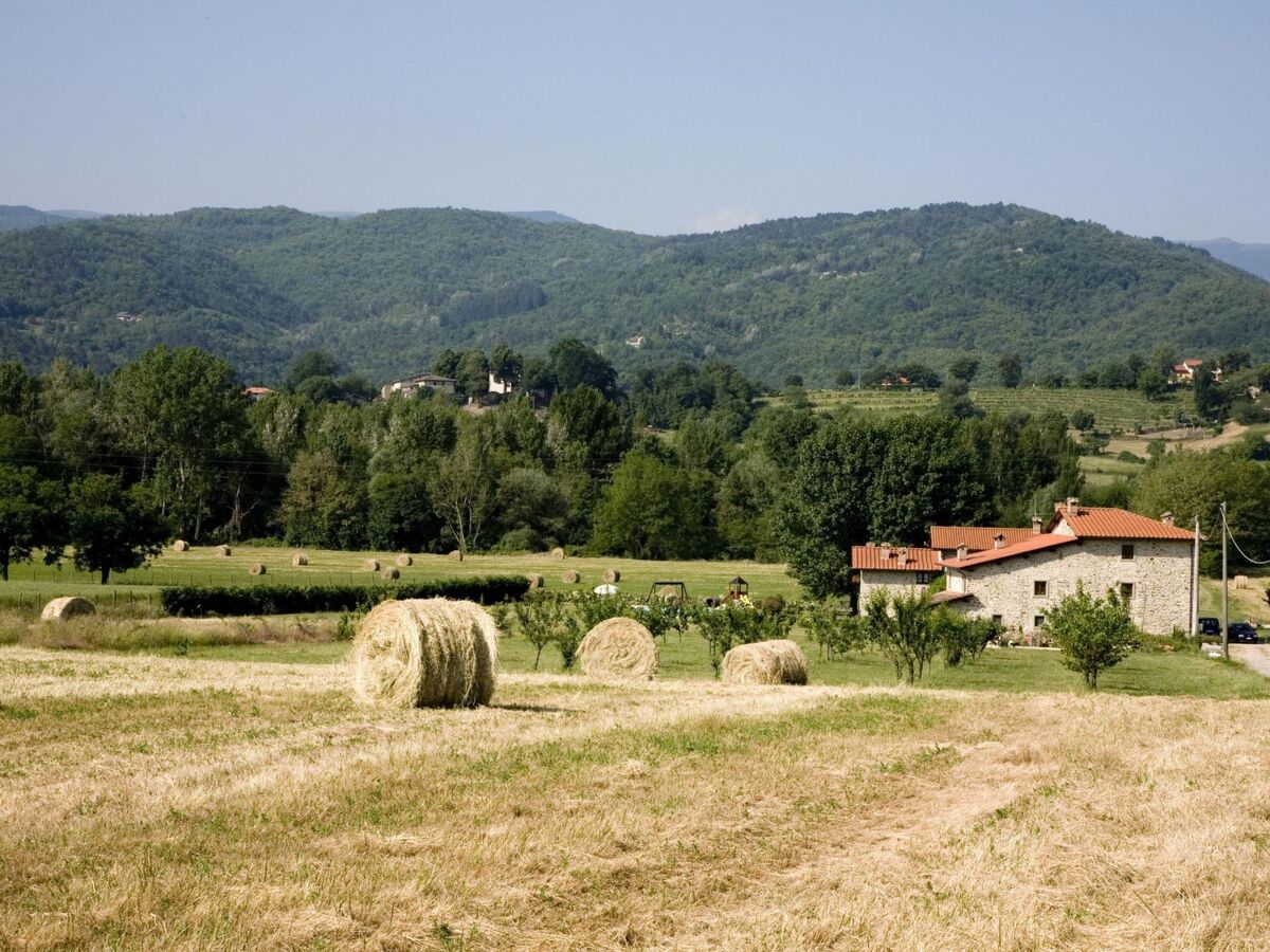 Villa Mildred à Poppi : maison 9 pers, piscine et 12 hectares - Photo 21