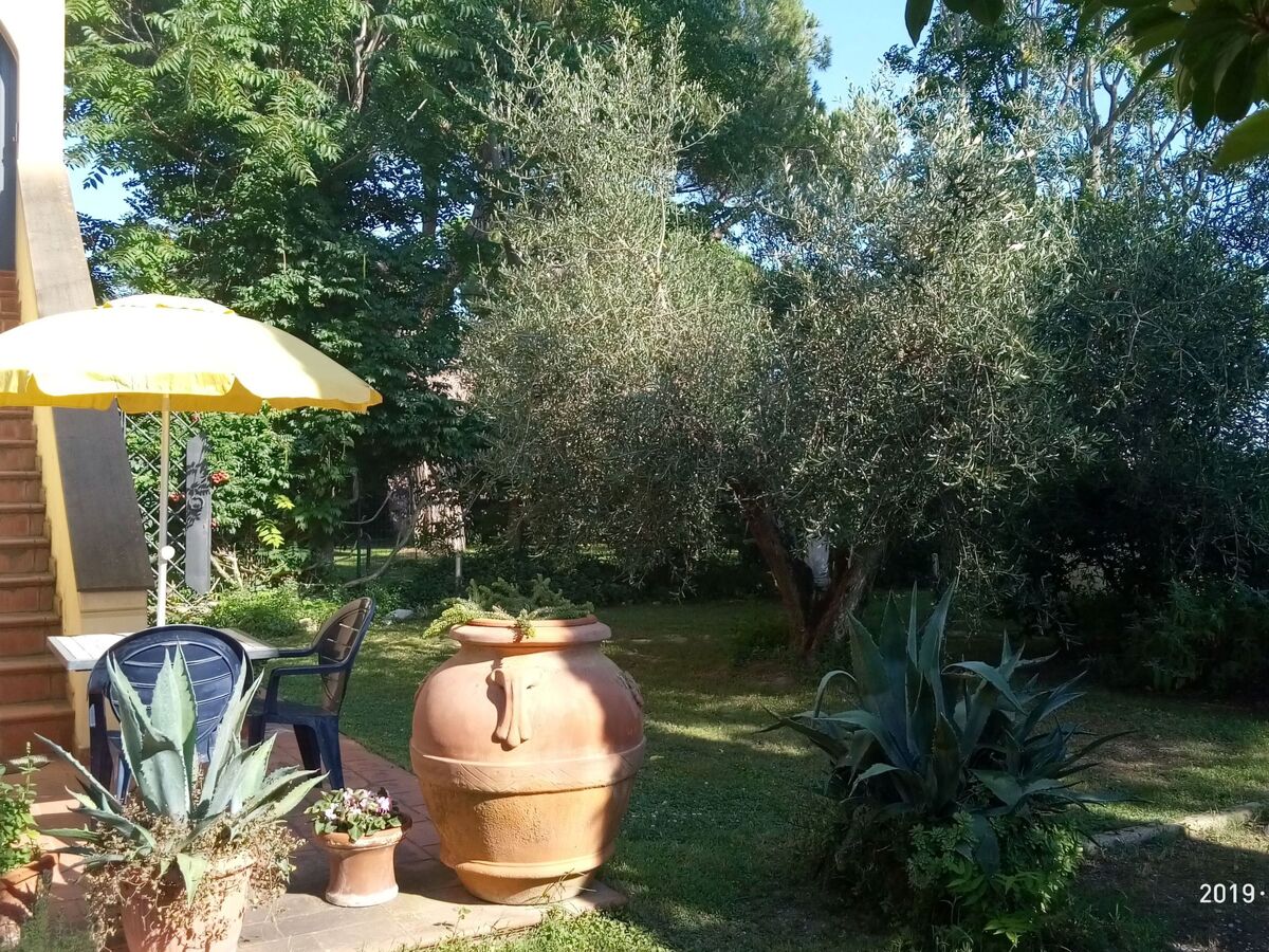Studio 35 m² en Toscane, piscine et plage à 3 km - Photo 8