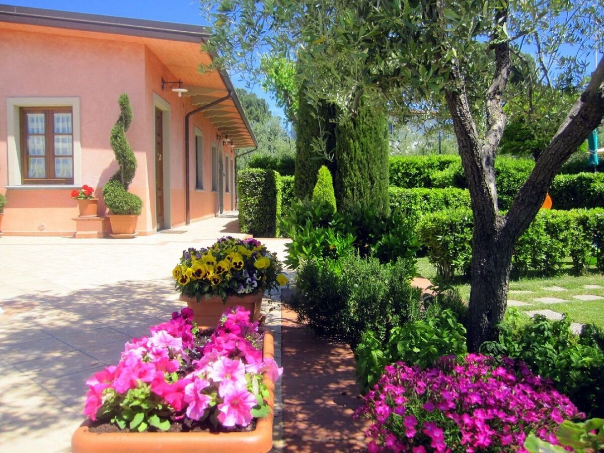 Poggio alla Cavalla, maison toscane 7 pers. avec piscine - Photo 31