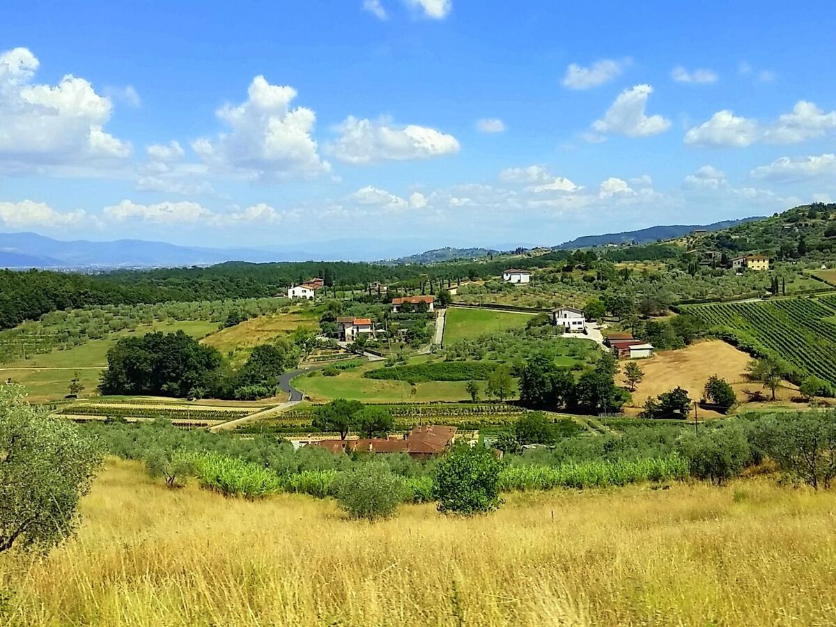 Poggio alla Cavalla, maison toscane 7 pers. avec piscine - Photo 35