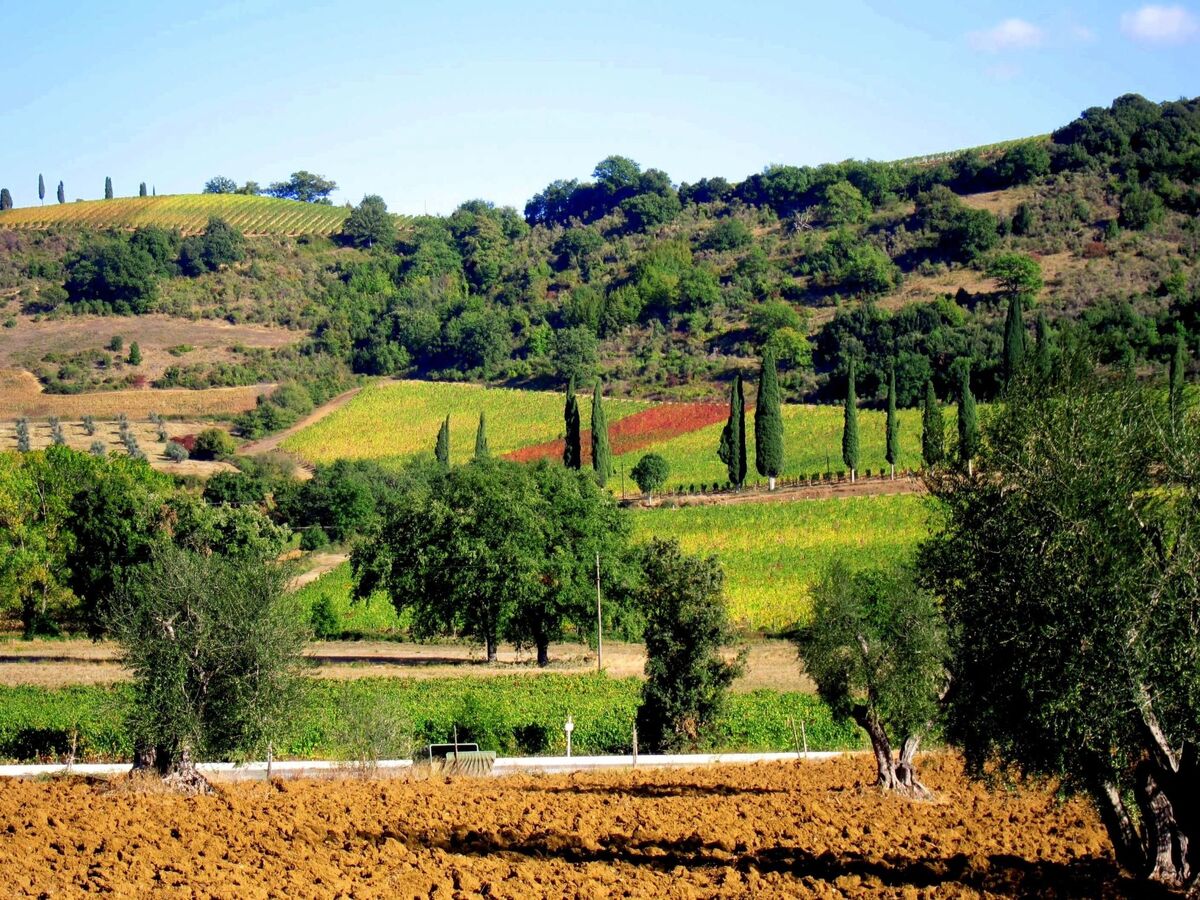 Poggio alla Cavalla, maison toscane 7 pers. avec piscine - Photo 39