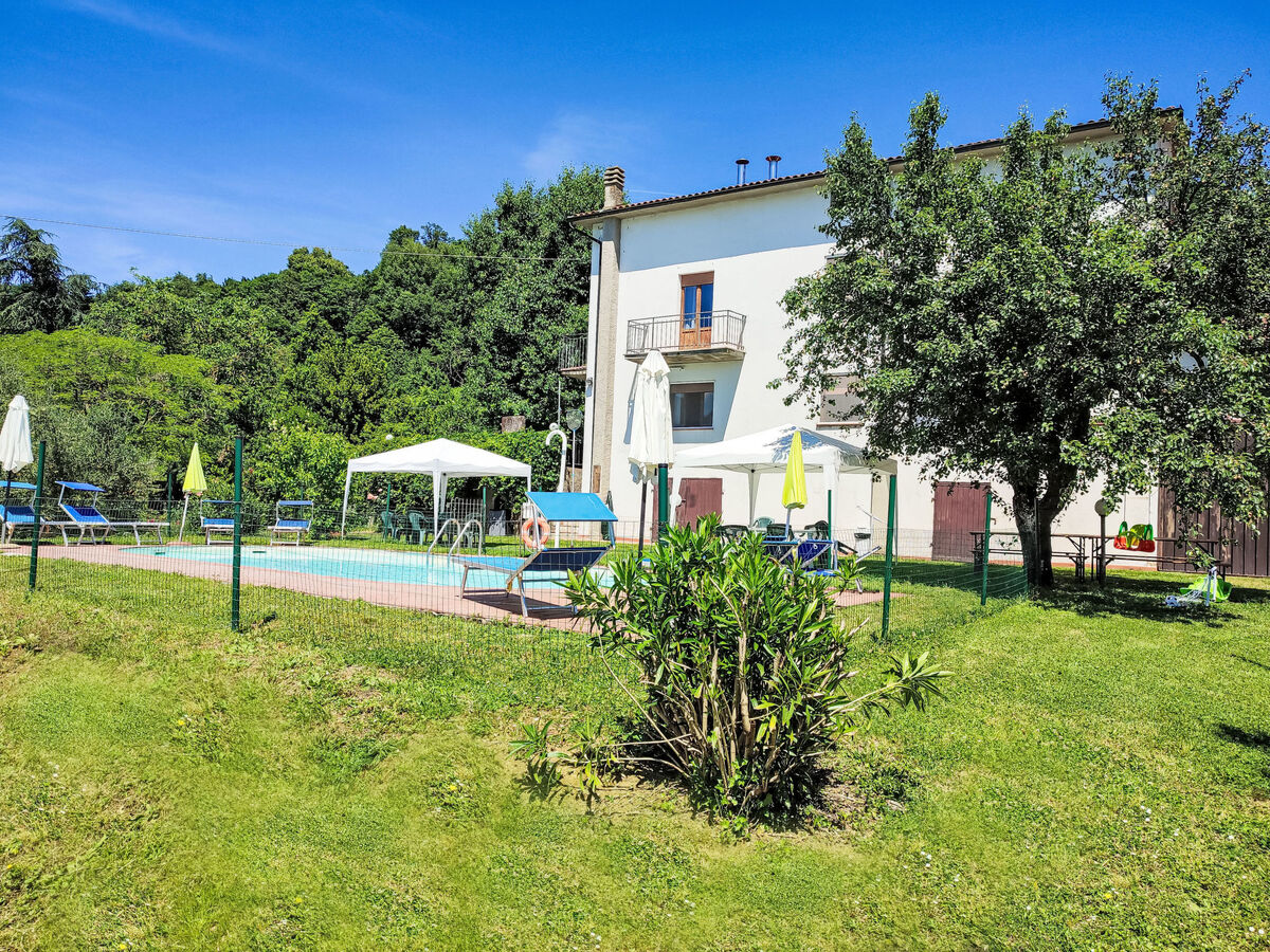 Capriolo' - Appartement 12 pers. à Santa Fiora - Photo 3