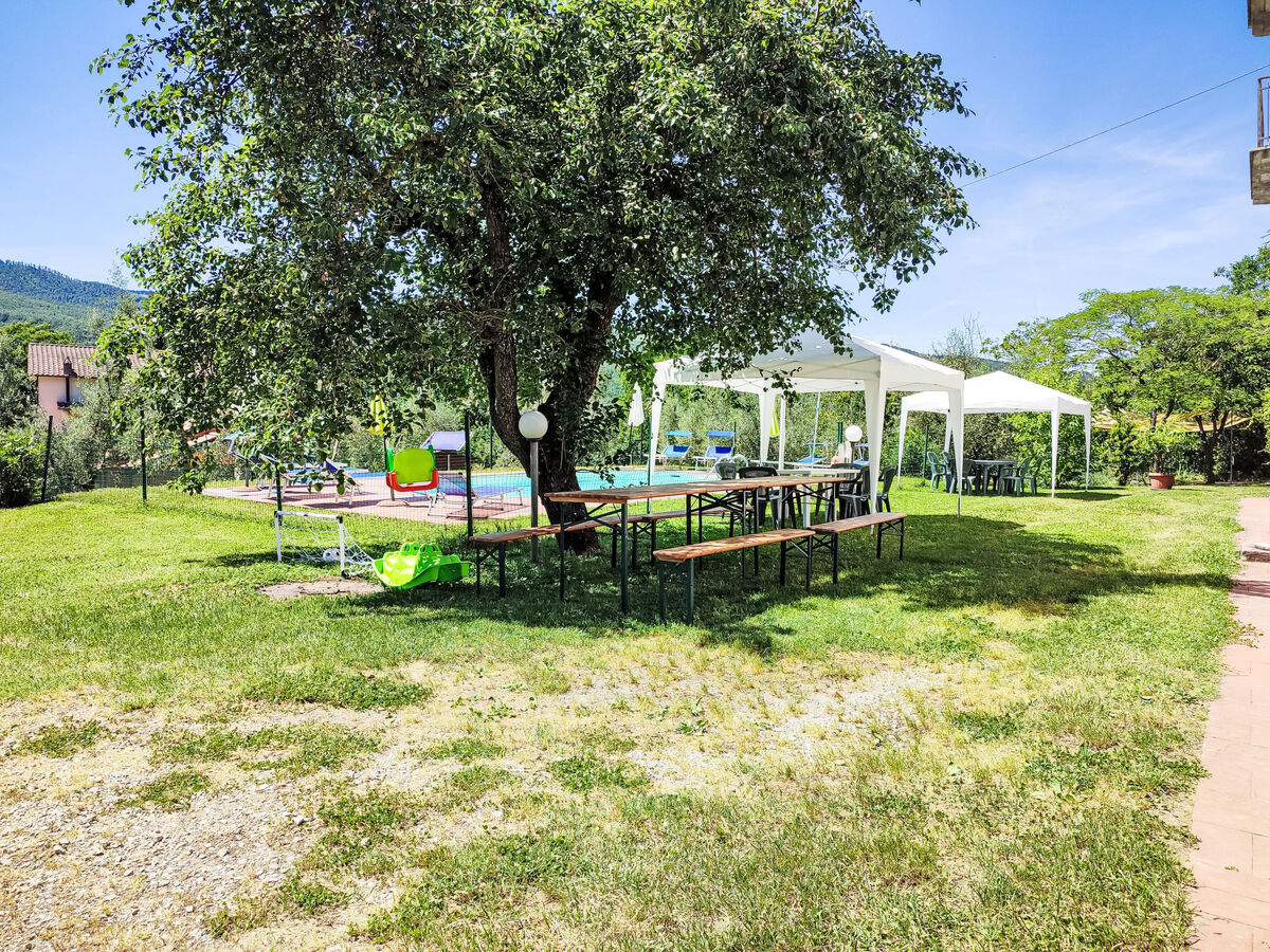 Capriolo' - Appartement 12 pers. à Santa Fiora - Photo 6