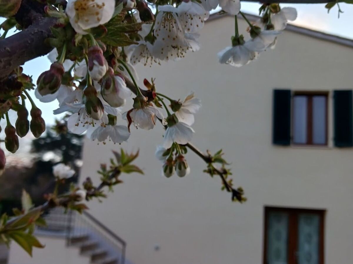 Maison indépendante 2 chambres à Monticiano - Photo 5