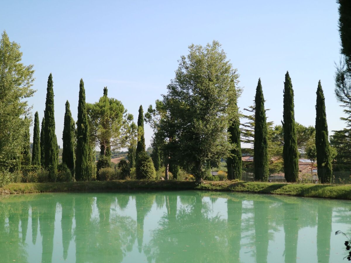 Maisonette 2 chambres à Sarteano avec piscine - Photo 23